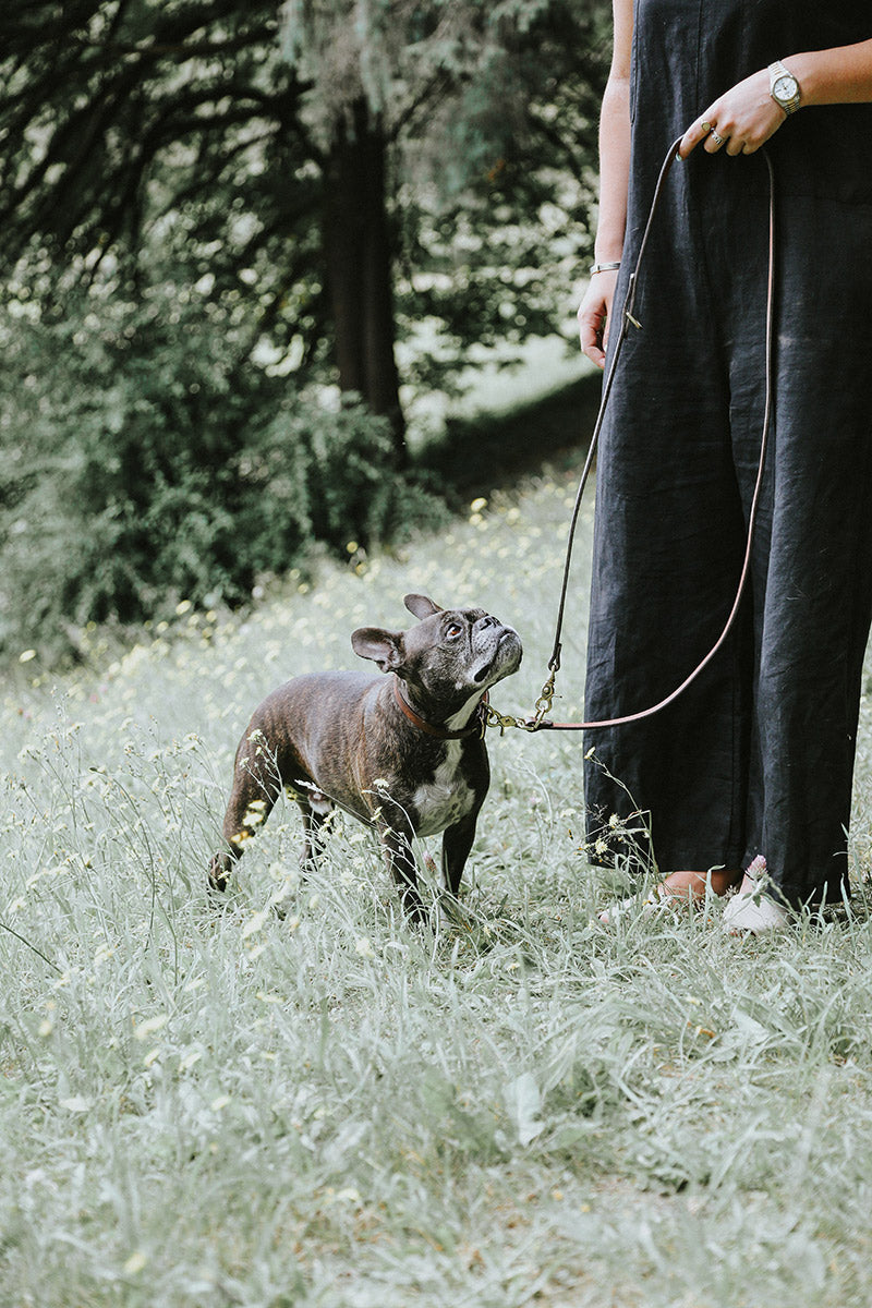 Convertible Canine Lead - Natural